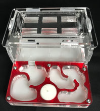 Package Deals Comparison 5 deals to choose from Compare prices here.  NOTE: all Queens have workers