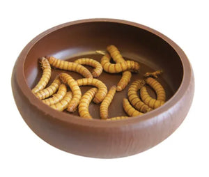 Meal Worm Dish escape prevention sides by Pisces