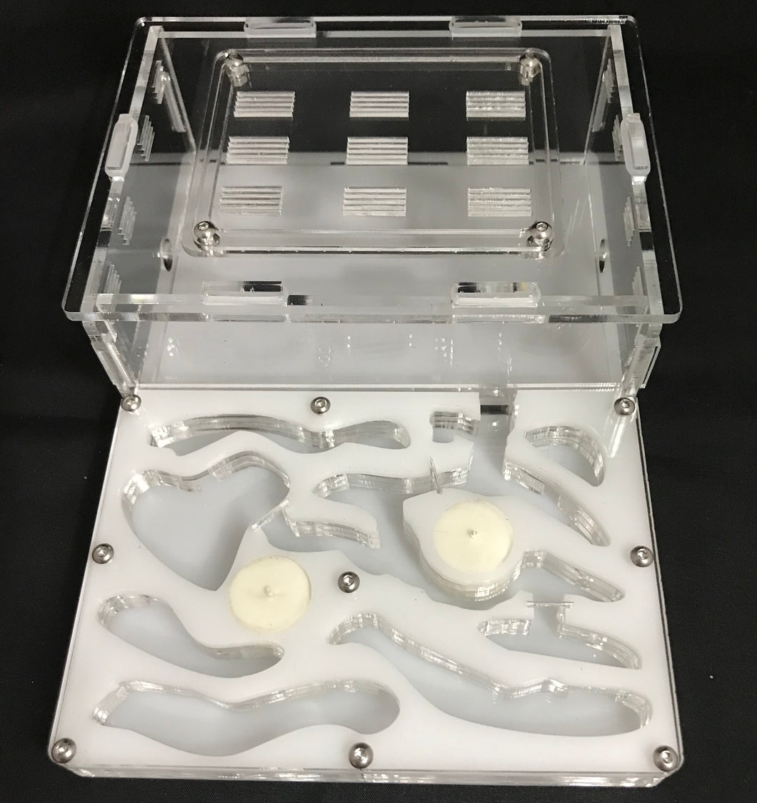 Package 5 Medium Horizontal, Starter Pack Queen  Ant