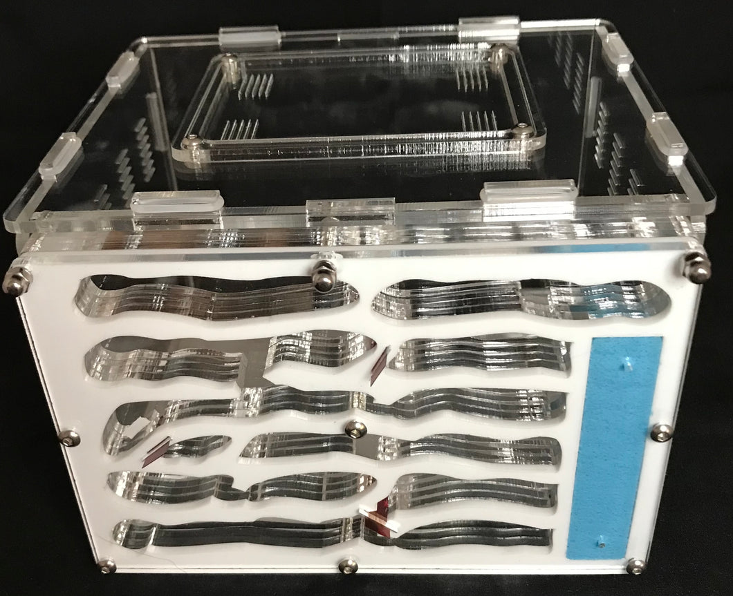 Medium Vertical Antfarm and Outworld Combination