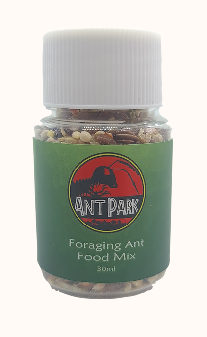 Ant Food Foraging mix for Harvester ants and piedole
