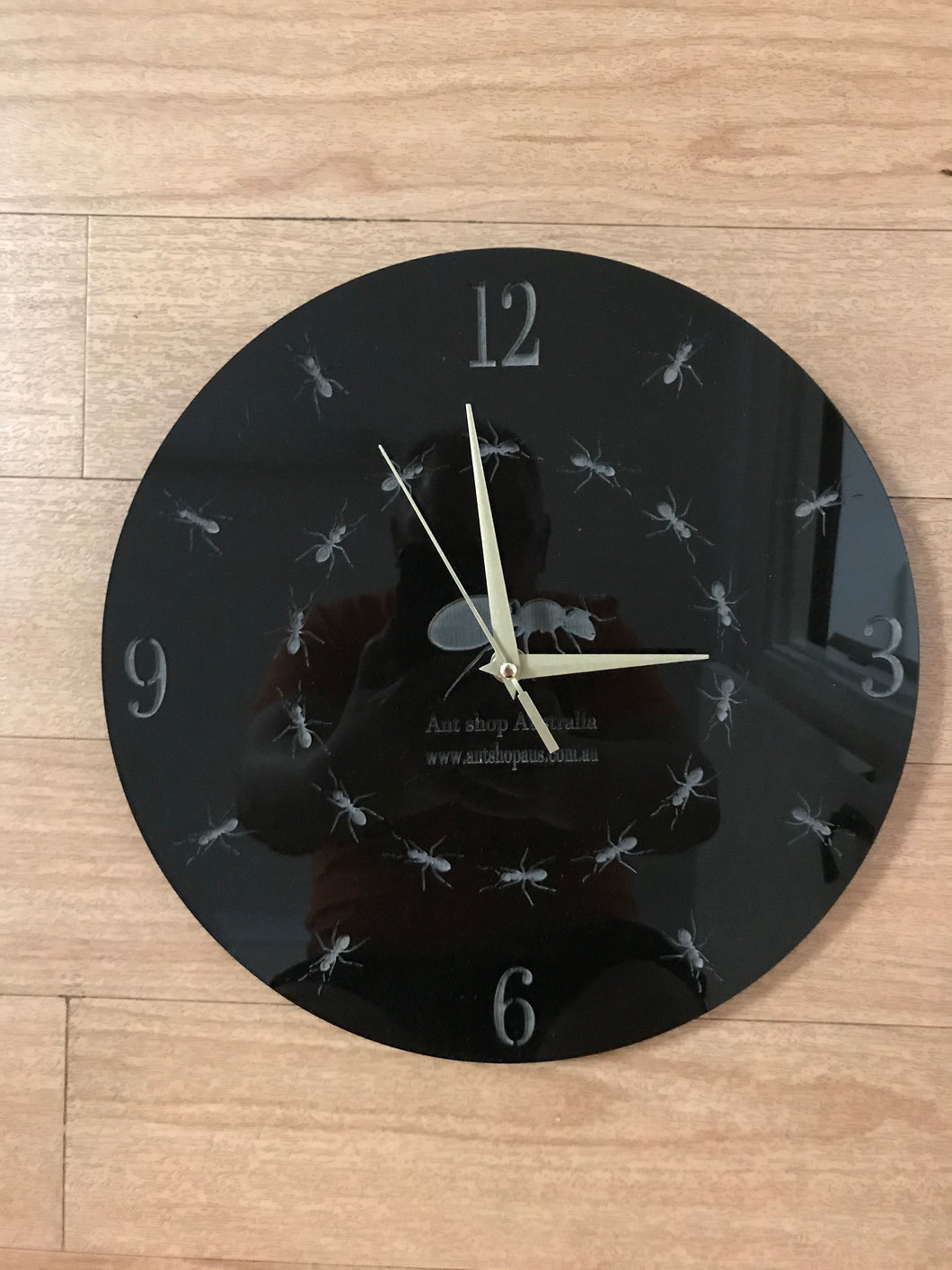 Ant Clock wall mounted