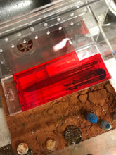 Ant Outworld Acrylic with magnetic sliding lid ventilation 3 sizes for large Ants and reptiles
