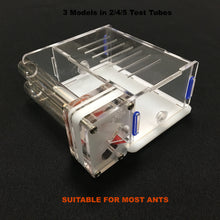 Ant Farm Acrylic Formicarium 2 tube design big DIY for live Ants